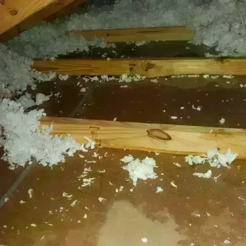 Attic Water Damage in Alderton, WA